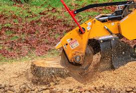 Best Tree Mulching  in Princeton, KY